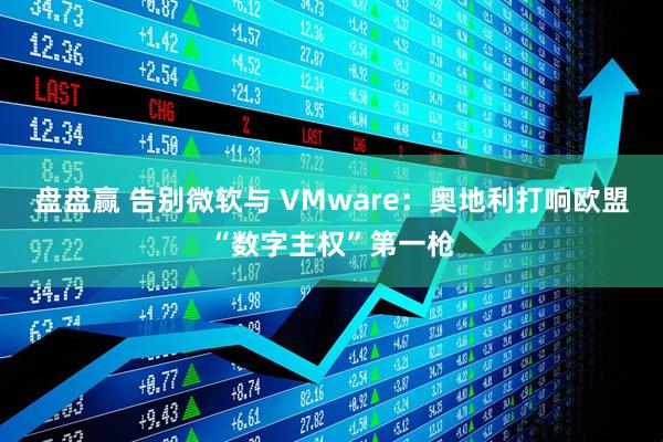盘盘赢 告别微软与 VMware：奥地利打响欧盟“数字主权”第一枪